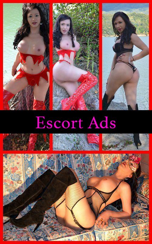 Annuncio Escort Ads - TRANS BELLA PORCELLA COMPLETISSIMA ATTIVA E PASSIVA SEMPRE PRONTA CON IL ARNESE DURO SBORRANTE E VOGLIOSO