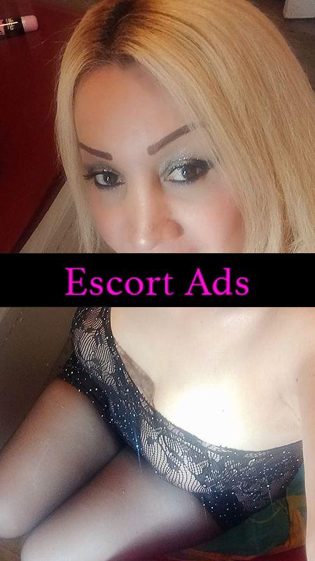 Annuncio Escort Ads - 🆕️🆕️BELLISSIMA TRANS FEMMINILE ATTIVA DOMINANTE🛐 SPERTA PORCA SEMPRE VOGLIOSA CARICA CALDA NIENTE FREGATURA SEMPRE DISPONIBILE🏳️‍🌈🏳️‍🌈🏳️‍🌈