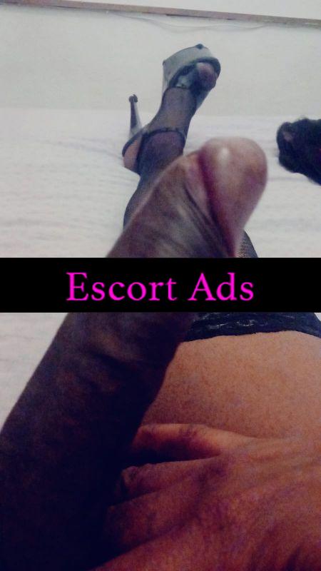 Annuncio Escort Ads - SAMPIERDARENA  Nuova nuova 🌞🌞🌞 jessica  versatile trans brasiliano bello . bocca di fuoco.