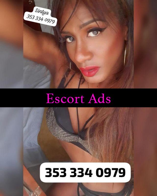 Annuncio Escort Ads - FELTRE 🐷❣️SINTYA TRANS 1.83  PARTY❣️TRANS BELLA PORCA 🔥💯assoluta 100% reale 💕💕 🐷 ... 💕 ATTIVA E PASSIVA 🍌 NESSUN TABU GOLOSA. MALIZOSA