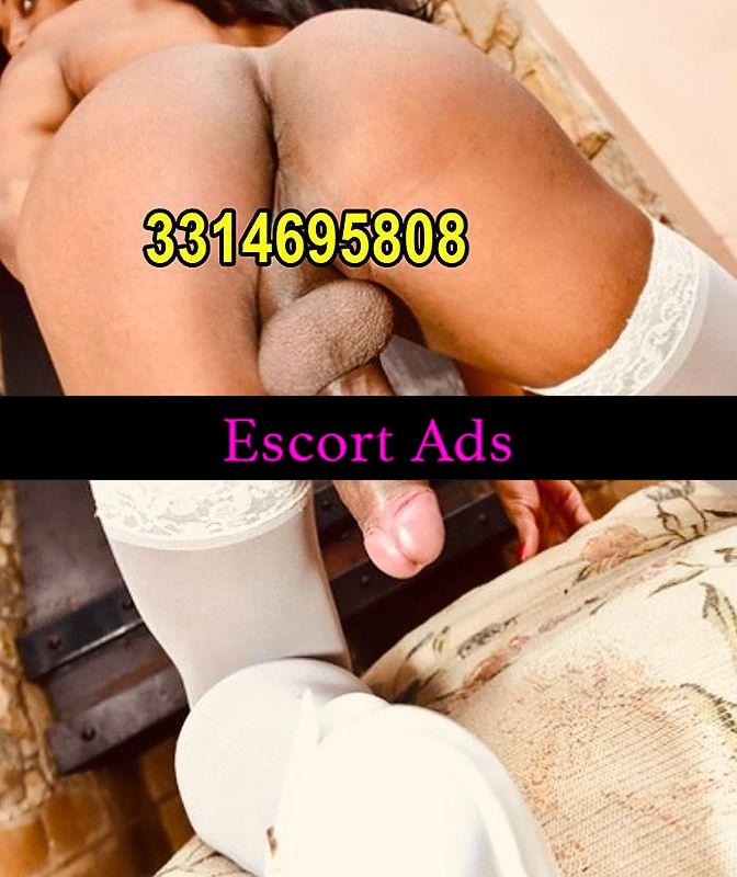 Annuncio Escort Ads - MELISSA TRANS 🏵️💧 A VIAREGGIO . ATTIVA / PASSIVA, CON 20 BUONI MOTIVI PER FARTI IMPAZZIRE, MOLTO DISPONIBILE!