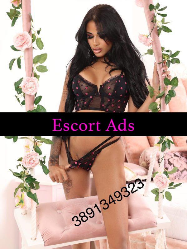 Annuncio Escort Ads - GIULIA BRASILIANA 💜 PRIMA VOLTA IN CITTÀ 💜 BELLISSIMA ELEGANTE 💜 E SOPRATTUTTO REALE 100% 🇧🇷