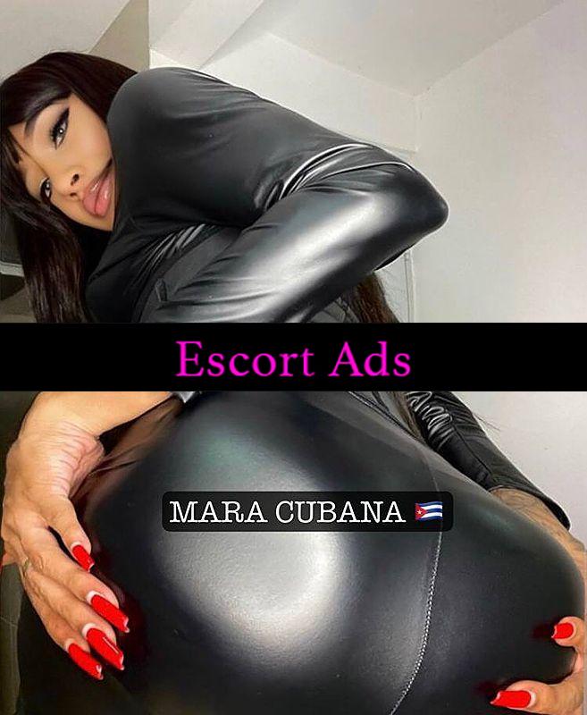 Annuncio Escort Ads - 🇨🇺 NEW TRANS FOCOSA 🔥 CARAIBICA CUBANA MACERATA 🐶 LA TUA AMA IN ZONA COINVOLGENTE CAVALLONA TUTTO FARE BOOM!!💥