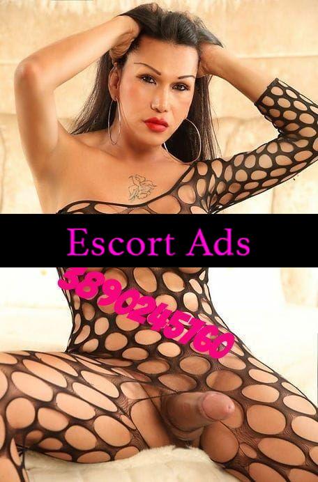 Annuncio Escort Ads - MONTESILVANO ✅NOVITA ARRIVATA 💕ALTAGRACIA TRANS 💕🔝BELLISSIMA DESIDEROSA DI SODISFARE LE TUE FANTASIE, DOLCE E PORCA AL PUNTO GIUSTO REALE💯% A/P