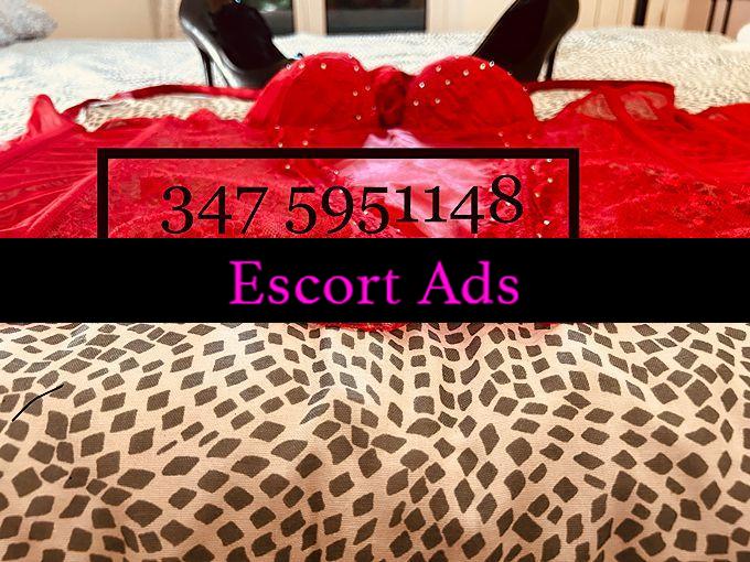 Annuncio Escort Ads - ‼️‼️Appena Arrivata ‼️‼️ Bellissima Trans 🏳️‍⚧️🔝🔝🔝Ultima Settimana 🔝🔝🔥🔥🔥🔥 SANTO Spirito 🔥🔥🇨🇺🇨🇺🇨🇺❤️‍🔥‼️🔝