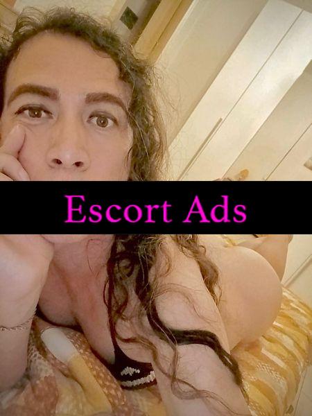 Annuncio Escort Ads - 💄KIARA LATINA 💘 NUOVA A VARESE🔥BELLISSIMA TRANS COLOMBIANA🐷 ❗ATT // PASS❗ FOTO REALE💯❌💯 COMPLETA PORCELINA... DISPONIBILE PER FARE TUTTO 🐷MOLTO CALDA🌷
