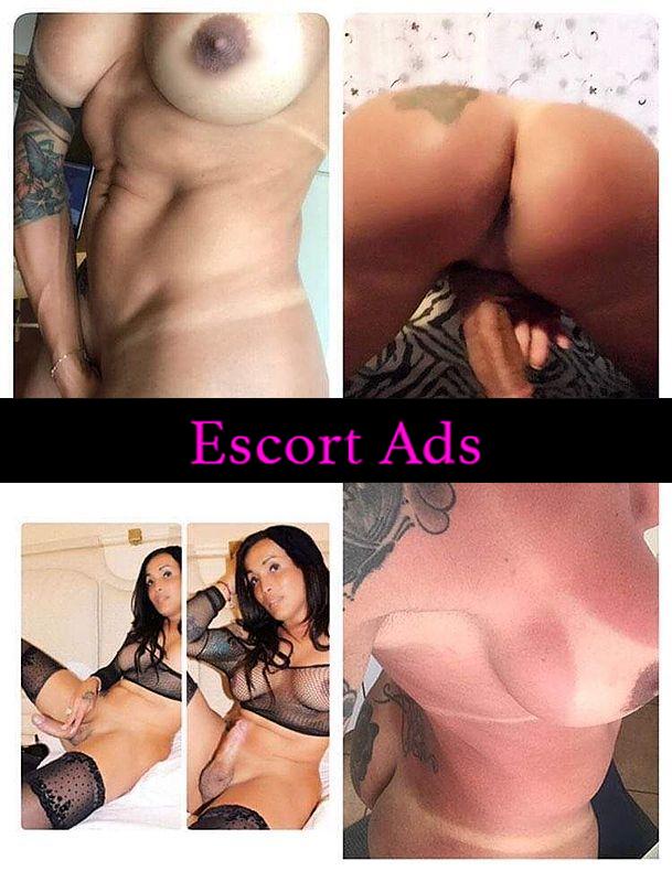 Annuncio Escort Ads - ❤️❤️❤️MONTECATINI AFFASCINANTE TRANS   seni belli, irresistibile, glutei favolosi corpo caldo e scultorio molto eccitante da fare impazzire…KISS