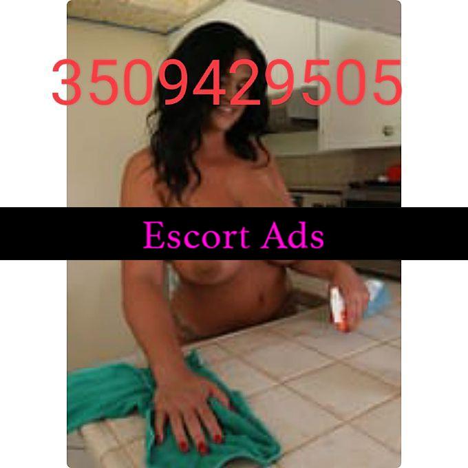 Annuncio Escort Ads - ❤️🔥MAI VISTA A TERMOLI GIOVANE MILF! VERA CAVALLA DI RAZZA CERCA STALLONE CHE LA CAVALCHI!🍓🔥 💯