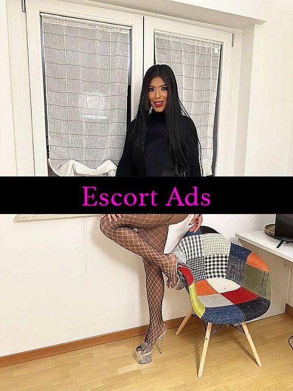 Annuncio Escort Ads - ❄️🥳NOVITA VENUS ATT/PASS (TRANS SEXI MULATTA)= FOTO REALE DOTATISSIMA E ARRAPANTE 💦🍼 POTENTISSIMA❄️🥳
