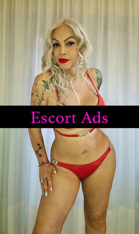 Annuncio Escort Ads - 🇨🇴🌶ERIKA BELLA CAVALLONA ALTA 1.75 CALDA COME IL 🔥🔥 E DOLCE COME IL MIELE 🌶❤ FINO A DOMENICA 🇮🇹