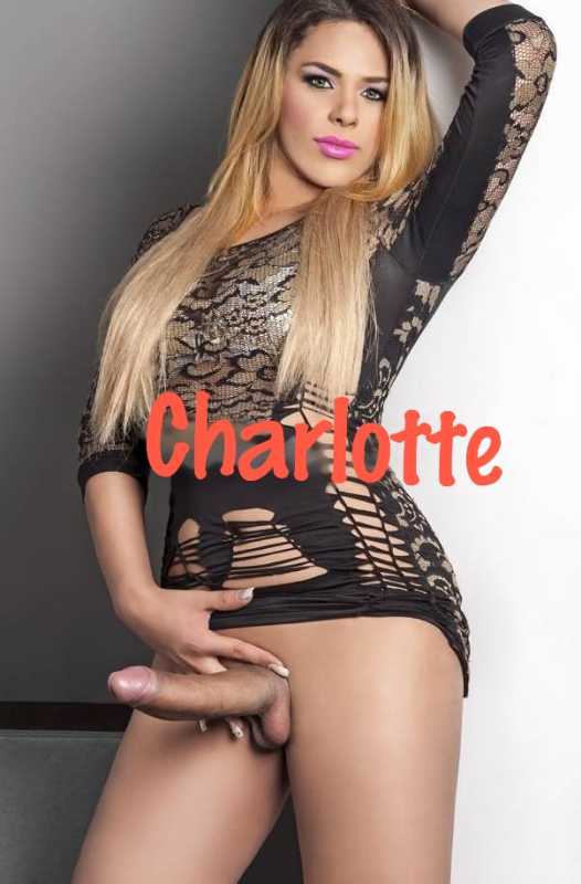 Annuncio Escort Ads - ????????????CHARLOTTE TRANS ???????? PICCANTE TENTAZIONI  . ATTIVA E PASSIVA , SEMPRE COMPLETA