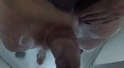 Annuncio Escort Ads - PAMELITA TRANS A FROSINONE ANCHE VIDEOCHIAMATE EROTICHE LA REGINA DELLA FEST PRIMA VOLTA,IN ASSOLUTA ATT E PASS,SEX,BELLA, PORCA AMANTE DEL 69 24/24 A