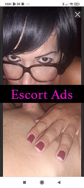 Annuncio Escort Ads - 🇧🇷❤️🐷👅💦 TRANS PORCA E BRAVA MASSAGIO RILASSANTE E EROTICO FOTO REALE💦🇧🇷❤️