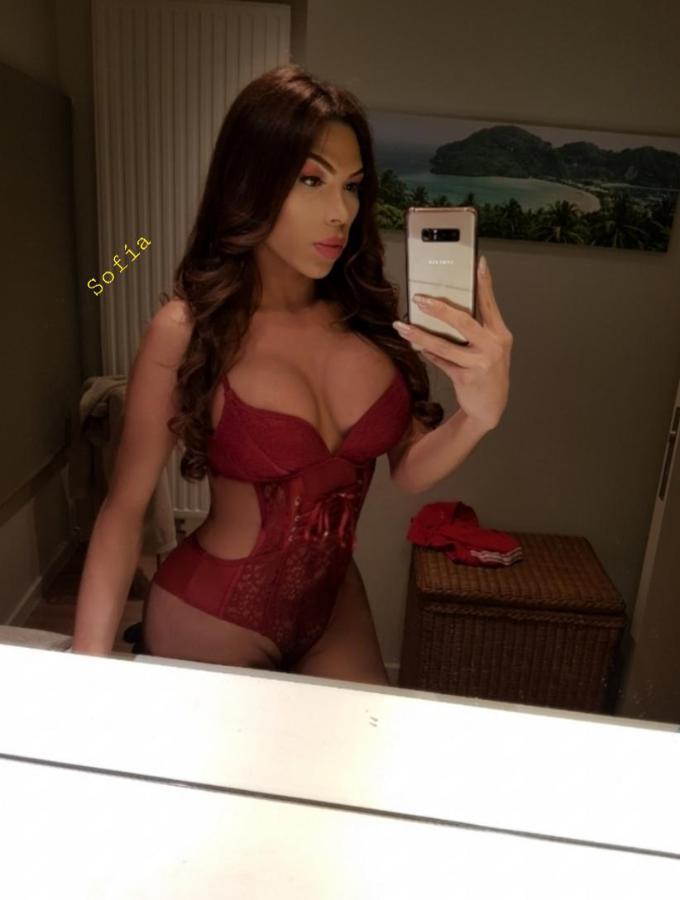 Annuncio Escort Ads - ????????SOFIA BRASILIANA LA PROFESORESSA DAL POMPINI CON RISUCCHIO GOLA PROFONDA SUCCHIARE TUTTO CON UN CAZZO DURO PIENO DI LATTE