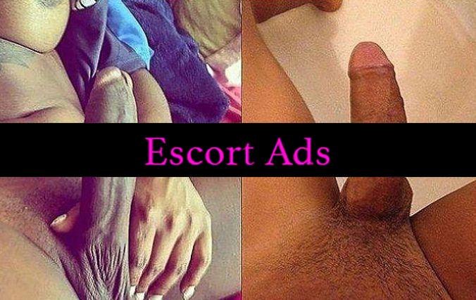Annuncio Escort Ads - 🍫 NOVITÀ ASSOLUTA 📢 ZONA PASSETTO 🎊PER POCHISSIMI GIORNI 🍾💦 🍫 trans mulatta! 🍫ATTIVISSIMA 🍫22CM il meglio che puoi trovare 💋❤️