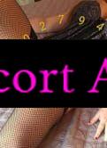 Annuncio Escort Ads - 🔞NEW NEW 🔝💖 *ROSSELLA 💘 GATTINA PERSIANA COMPLETISSIMA !!!!