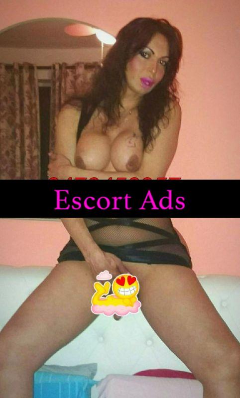 Annuncio Escort Ads - 💋TRANS ATT PASS MOLTO SEXY, FEMMINILLE💋FISICO MOZZAFIATO💋ESPERTA IN PRELIMINARE NATURALE BOCCA DI VELLUTO GOLA PROFONDA