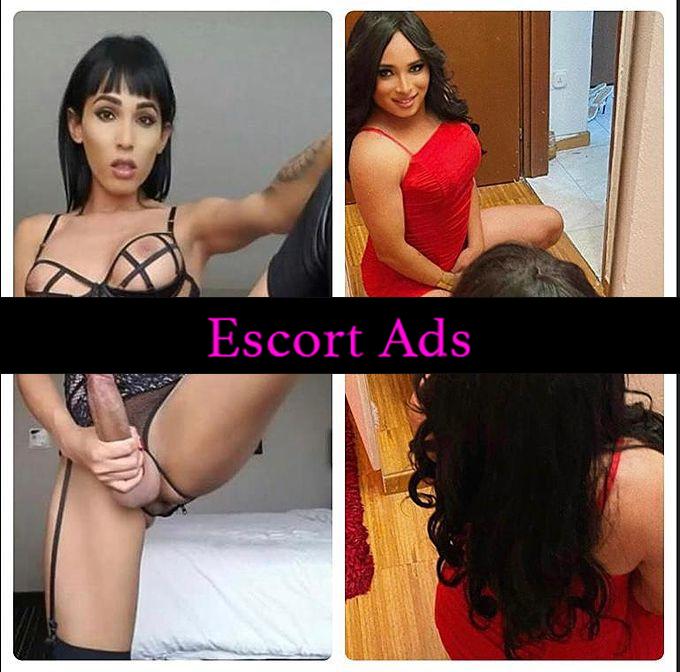 Annuncio Escort Ads - 💋🌶 coppia Due Trans ☺️COMPLETISSIMA E BELLISSIMA COME DA FOTO ¤¤¤¤¤🌺