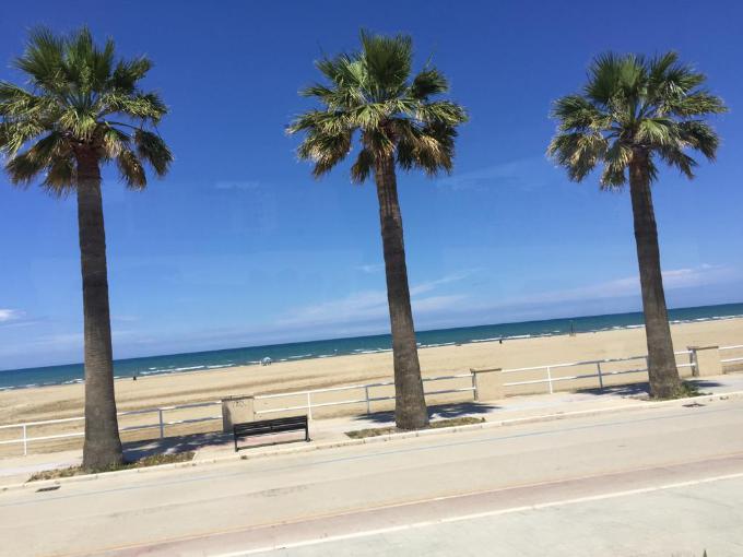 Annuncio Escort Ads - Trans  VERAMENTE TORNATTA  BELISSIMA MORA BRONZEATTA  CAVALLONA