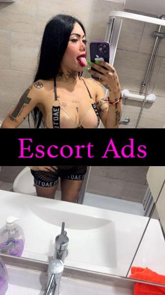 Annuncio Escort Ads - VICINO CENTRO❗ NUOVA ARRIVATA❗ 💘LEYDI TRANS 💝LATINA VENEZUELANA FOTO💯❌💯REALI💘BOCCA SCOPERTO🌹 BEL 69💝 MASSAGGIO🍑💦 BACIO SENZA FRETTA