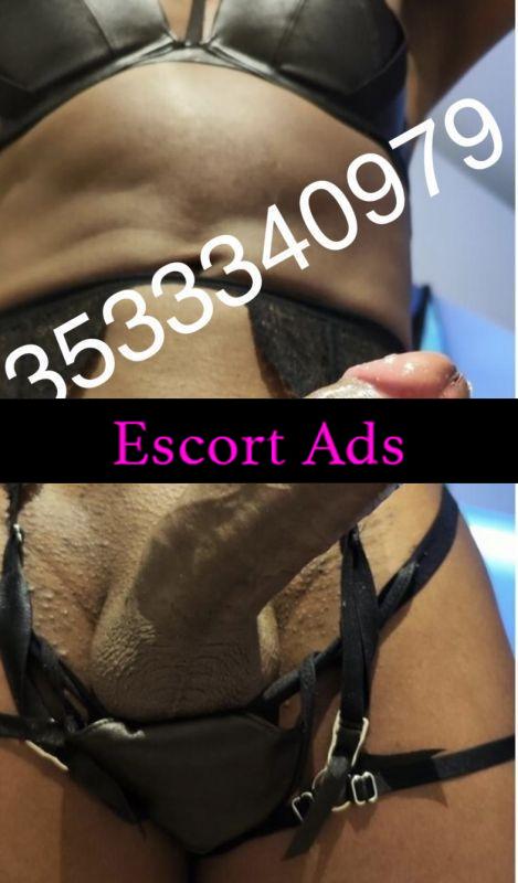 Annuncio Escort Ads - FELTRE 🐷❣️SINTYA TRANS 1.83  PARTY❣️TRANS BELLA PORCA 🔥💯assoluta 100% reale 💕💕 🐷 ... 💕 ATTIVA E PASSIVA 🍌 NESSUN TABU GOLOSA. MALIZOSA