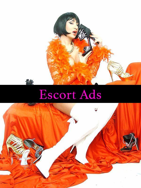 Annuncio Escort Ads - BELLISSIMA TRANS ITALIANA INGRESSO INDIPENDENTE TROIA CON L'ASTA SEMPRE PRONTA MORA MEDITERRANEA**BOCCA GOLOSA PROFONDA*TETTE GRANDI MORBIDE**