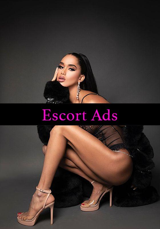 Annuncio Escort Ads - A BOLOGNIA 💣ELIF 💣TRANS .BOMBA SEXY 🔥SENZA...TABUUUU