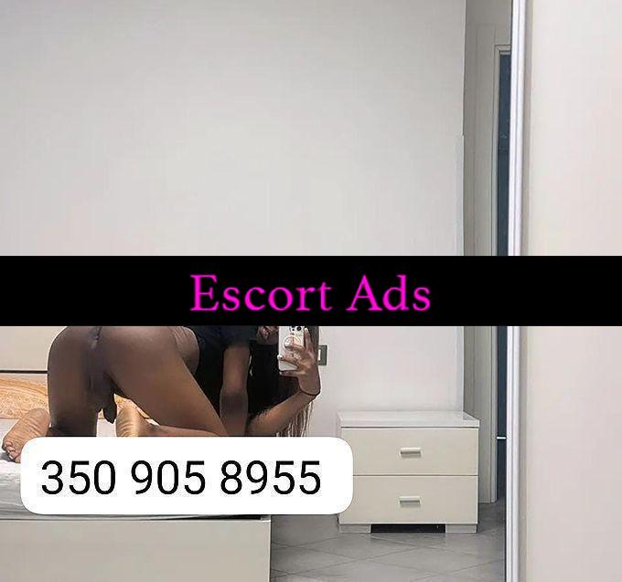Annuncio Escort Ads - A AVELLA KAMILA NOVITA ASSOLUTA DONNA TRANS BRASILIANA CULO E GOLA PROFONDA FACCIO DI TUTTO BRASILERA 19 ANNI APENNA ARRIVATA 🔥💥