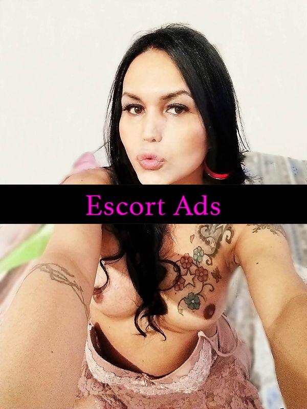 Annuncio Escort Ads - À Pavia STUPENDA🐷 MELISSA TRANS🐷 UNA GRAN birichina molto passionale