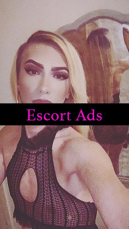 Annuncio Escort Ads - 🔥✨CRISTINA TRAV PRIMA VOLTA A BOLOGNA…VERE EMOZIONI DA FILM... … DISPONIBILE ANCHE CON TRANS