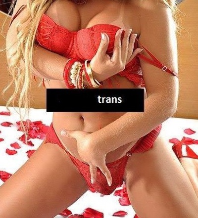 Annuncio Escort Ads - TRANS XXX ????TRANS????attiva passiva  molto porca x VIDEOCHATT