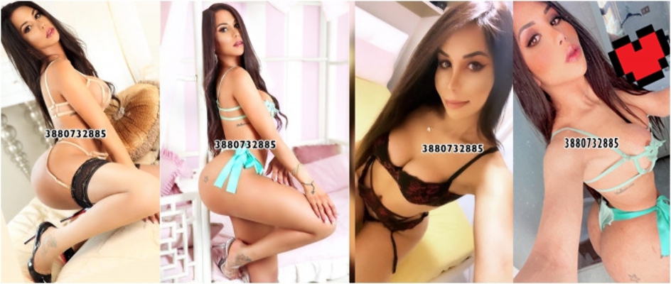 Annuncio Escort Ads - ???? HELOISA TOP TRANS ????  BELLISSIMA , ATTIVA/PASSIVA, DOTATA E GIOVANE. BOMBA EROTICA PASSIONALE