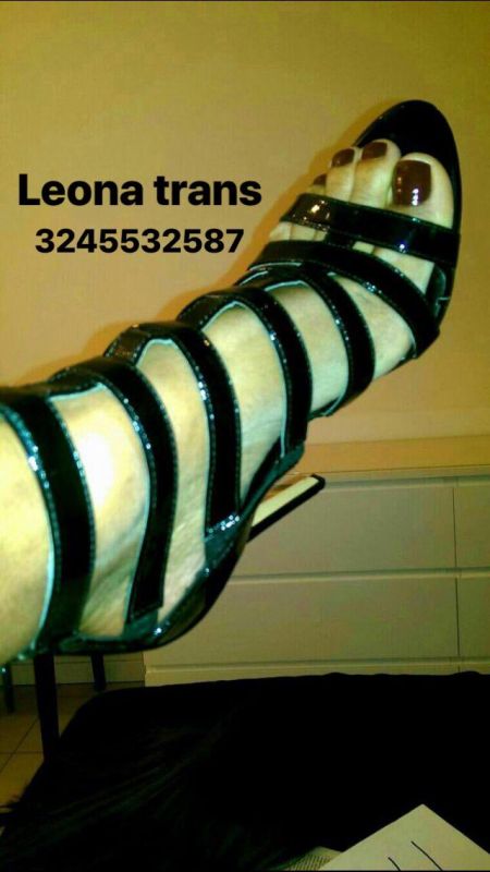 Annuncio Escort Ads - A PESARO LEONA SUPER TRANSEX UNA GRAN PORCELLA DEL SESSO BOLLENTE PRONTA PER SODDISFARE OGNI RICHIESTA. NO SMS