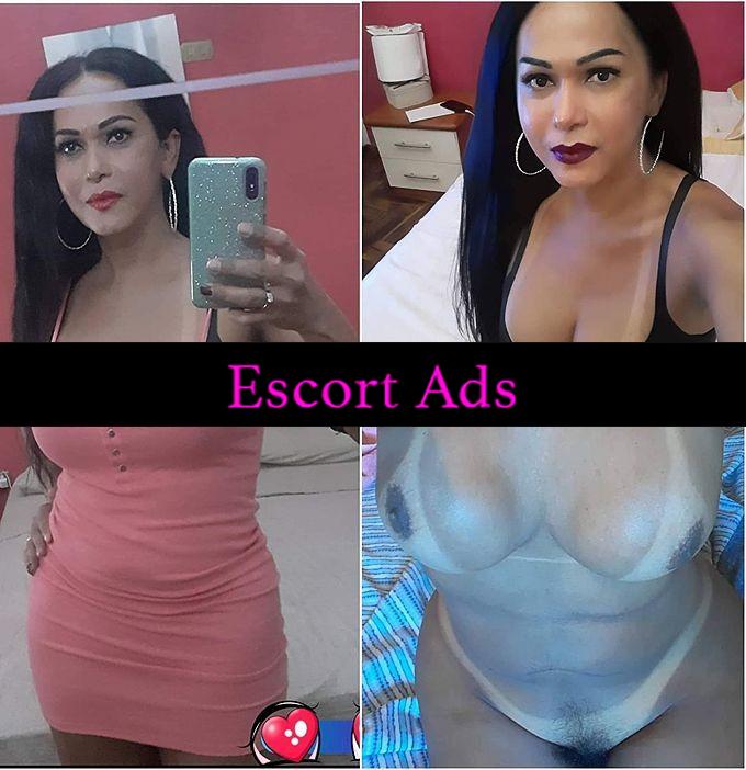 Annuncio Escort Ads - 💋NEW TRANS!VERA CAVALLA ATTIVA MADE IN BRASILE LA PIU PORCA ATTIVA E VIZIOSA REALMENTE HOT ASSAGGIAMI PROVAMI ANCHE PER COPPIE 69 AL NATURALE 💦 ❮❯