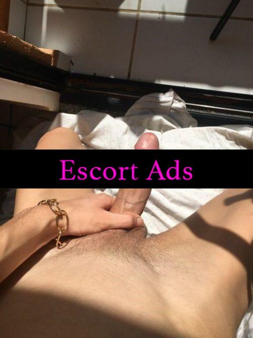 Annuncio Escort Ads - APPENA ARRIVATA A TRIESTE💞TRANS LAURA💞COMPLETISSIMA CAVALONA CON UN BEL BATONE PIENO DE LATTE FOTO REALE💯%