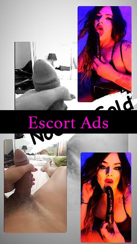 Annuncio Escort Ads - ❌❤️❌NOVITÀ PRIMISSIMA VOLTA IN ZONA ❌❤️❌ NOEMI TRANS ATTIVA E PASSIVA ITALIANA