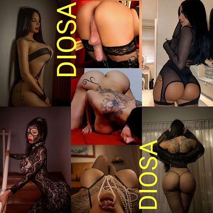 Annuncio Escort Ads - ROMA ZONA PGNETO LA PIU TROIA TRANS AUTENTICA VERA DIOSA TOP TRANS!!! FOTO REALI 100% TI CONFERMO CON WATZAPP IN VIDEO CHIAMATA