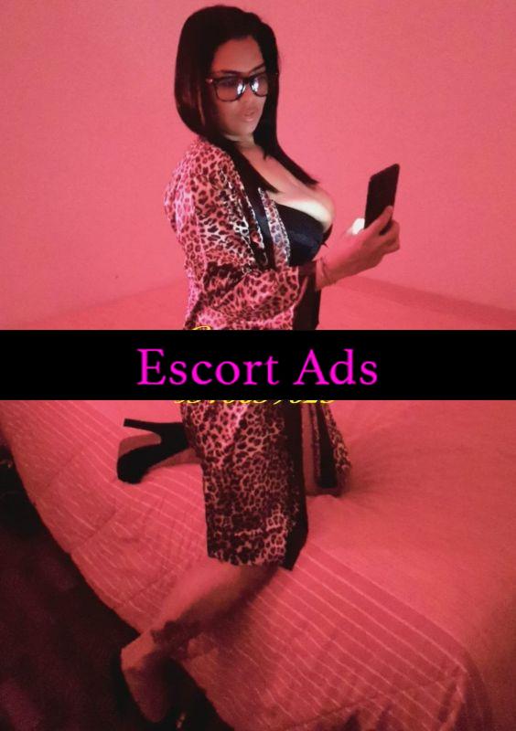 Annuncio Escort Ads - scandicci casellina FOTO VERE 100% 👑💄Zara sempre più bella che mai TUTTO FARE 👑💄bocca fica culo stampa le foto e vieni anche