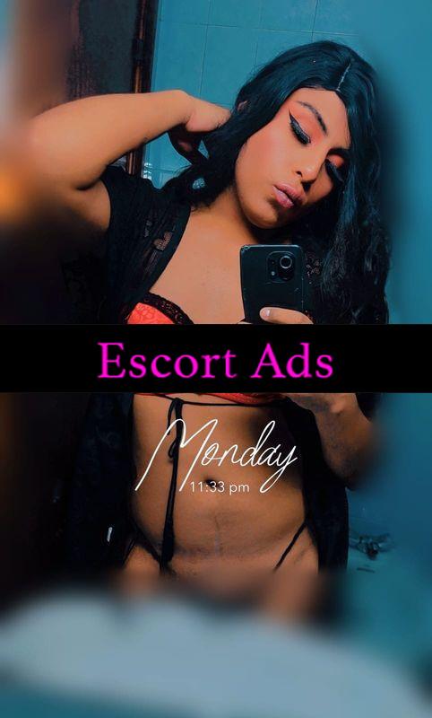 Annuncio Escort Ads - ❤️🔥TRANS BOMBA SEXY.. 🌶️ ATT & PAS💋 CON SCHIZZO PIENO DI LATTE 🔝💦
