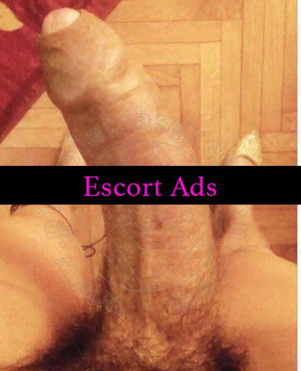 Annuncio Escort Ads - TRANS BELLA PORCELLA COMPLETISSIMA ATTIVA E PASSIVA SEMPRE PRONTA CON IL ARNESE DURO SBORRANTE E VOGLIOSO