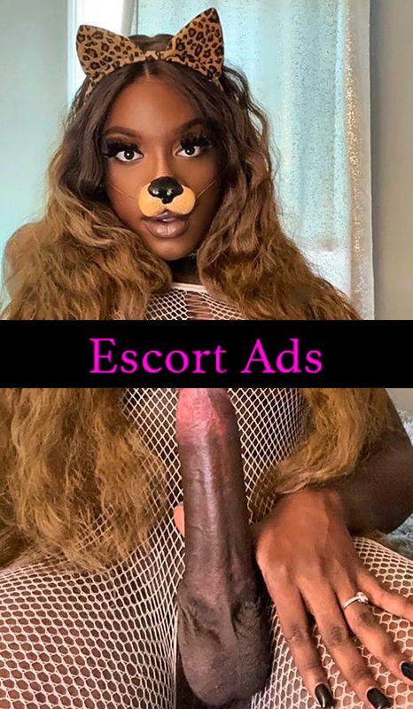 Annuncio Escort Ads - ❤️‍🔥TRANS CONEGLIANO✨ATTIVA PASSIVA 😈PIENA LATTE 💦CAVALONA🐴CAZZONE DURISSIMO DEPILATO 🐷ANCHE BELLO CULETO😈💦