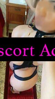 Annuncio Escort Ads - APP ARRIVATA A BRINDISI SOFIA ELEGANTE E RAFFINATA 🔥 🔥SETTIMA DI SENO SOLO UOMINI EDUCATI