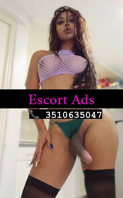 Annuncio Escort Ads - 💄FRANCAVILA FONTANA💄💋PRIMA VOLTA💄💋💋TRANS VANESSA 💋ACTIVA PASIVA PORCA BESOS GOLA PROFUNDA SENZA LIMITE PER TUTTO ❄️❄️