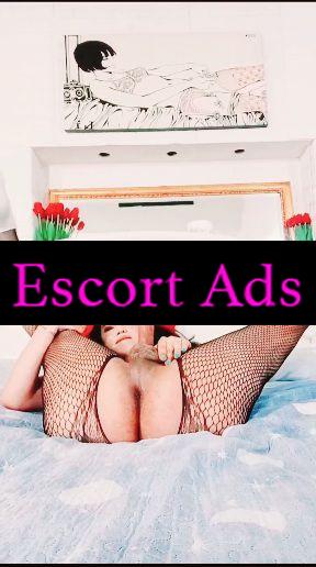 Annuncio Escort Ads - 🔞🐷BELLISSIMA TRANS SAN BENEDETTO 🚫🐷SCEGLI LA MEGLIO 🔞 SHEYLA SOUZA 🍌LA TRANS 🔞PUTTANISSIMA🔞PORCA💜HOT BLOWJOB🍑🍌A BOMB💣
