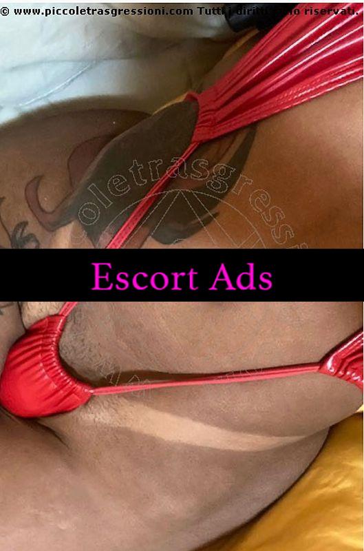 Annuncio Escort Ads - orale scoperto+sborrata in bocca  😋trans brasiliana bruna menegassy foto 100’/, reale 🔥🍀🌶 anche travestimento cr