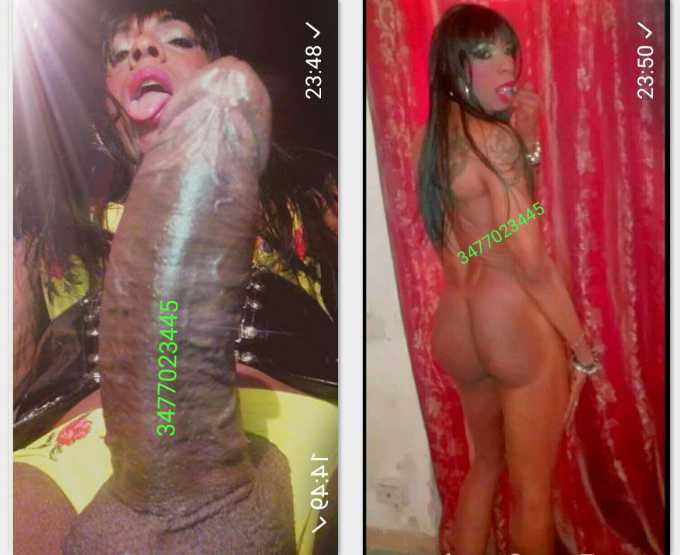 Annuncio Escort Ads - TOP TRANS XXL PORCA E BELLISSIMA MI TROVI COME MI VEDI SENZA FREGATURE E CON MOLTA VOGLIA... SENZA TABU, ???? MOLTO TRASGRESSIVA