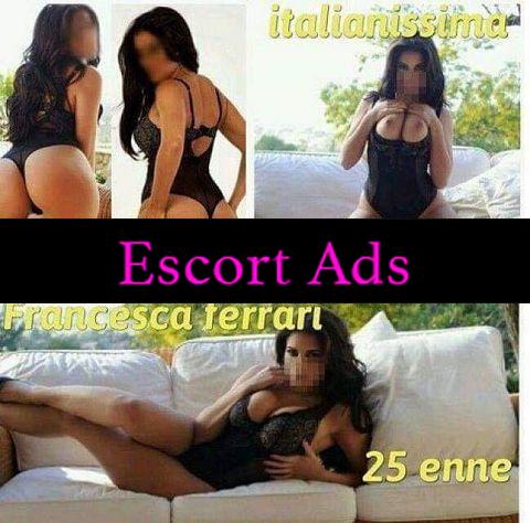Annuncio Escort Ads - Novità assoluta Francesca Ferrari studentessa siciliana doc in città dal 8 al 13 agosto cogli attimo no anonimi