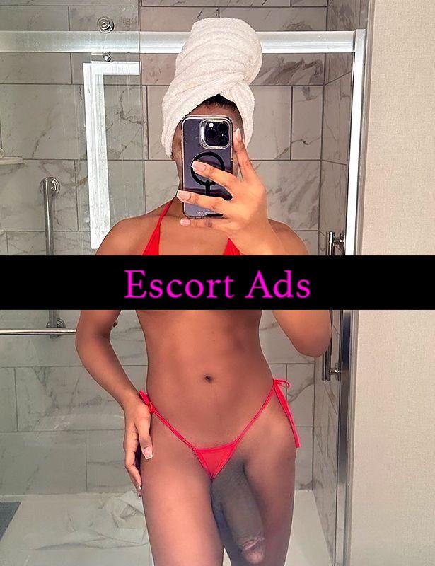 Annuncio Escort Ads - 🇵🇹🇵🇹PRIMA VOLTA A BRINDISI  🇵🇹🇵🇹🇵🇹   LA PIÙ TROIA TOP TRANS GIGY XXL CAVALLONA ATTIVISSIMA PASSIVISSIMA TUTTA DA GUSTARE NON PERDERE TEMPO ⏱