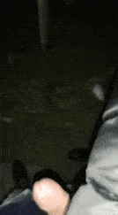 Annuncio Escort Ads - APPENA ARRIVATA  ????????????????TRANS SEMPRE CARICA UNA MERAVIGLIA DOLCE SENSUALE TENERA CALDA monella?