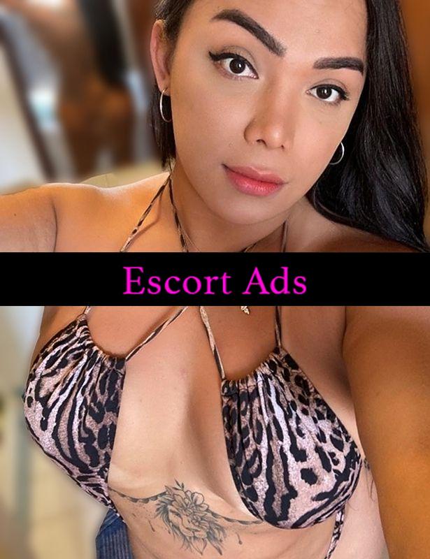Annuncio Escort Ads - 👸🏻A TRANI🔥FELINA TUA AMANTE BRASILIANA💋FOTO REALE 🦋 TRANS MOLTO FEMMINILE PER UOMINI D BUON GUSTO.